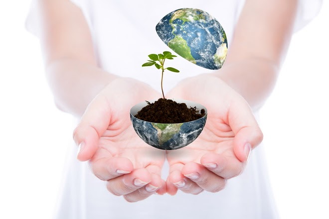 Environmental Social Governance (ESG)